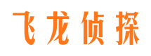 临潼找人公司